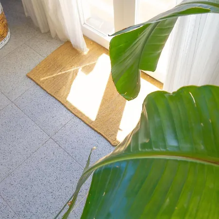 Casa Aromas Rural Y Campo • Playa • Bbq • 6pax Appartement *